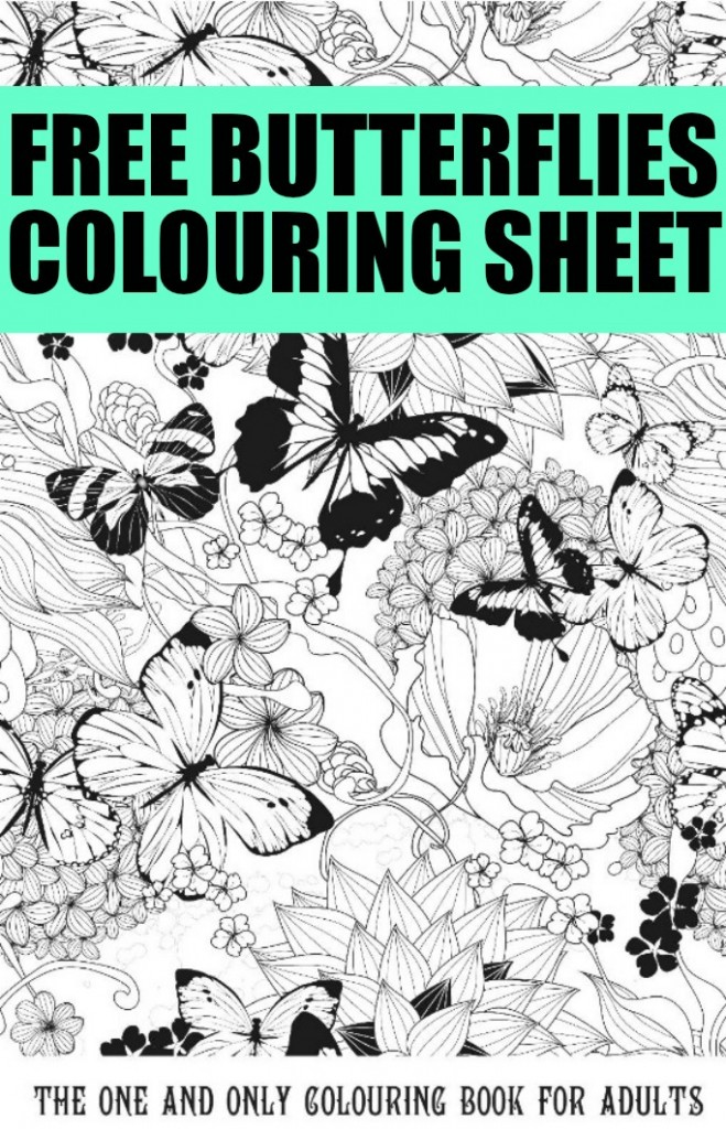 Free colouring pages for adults butterflies