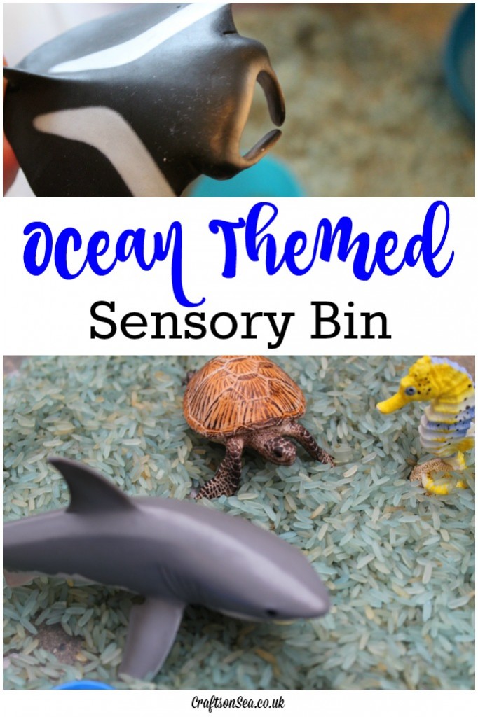 ocean themed sensory bin
