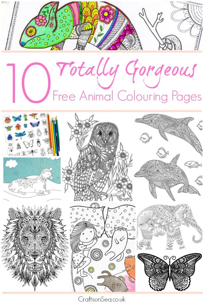 Animal Adult Coloring Pages