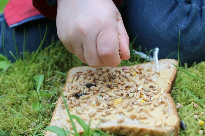 bird feeder kids can make with bread