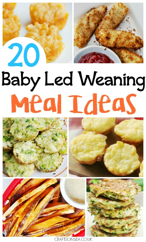 Baby Led Weaning Family Recipes
