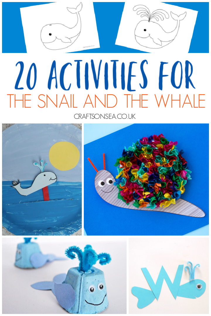 snail and the whale activities