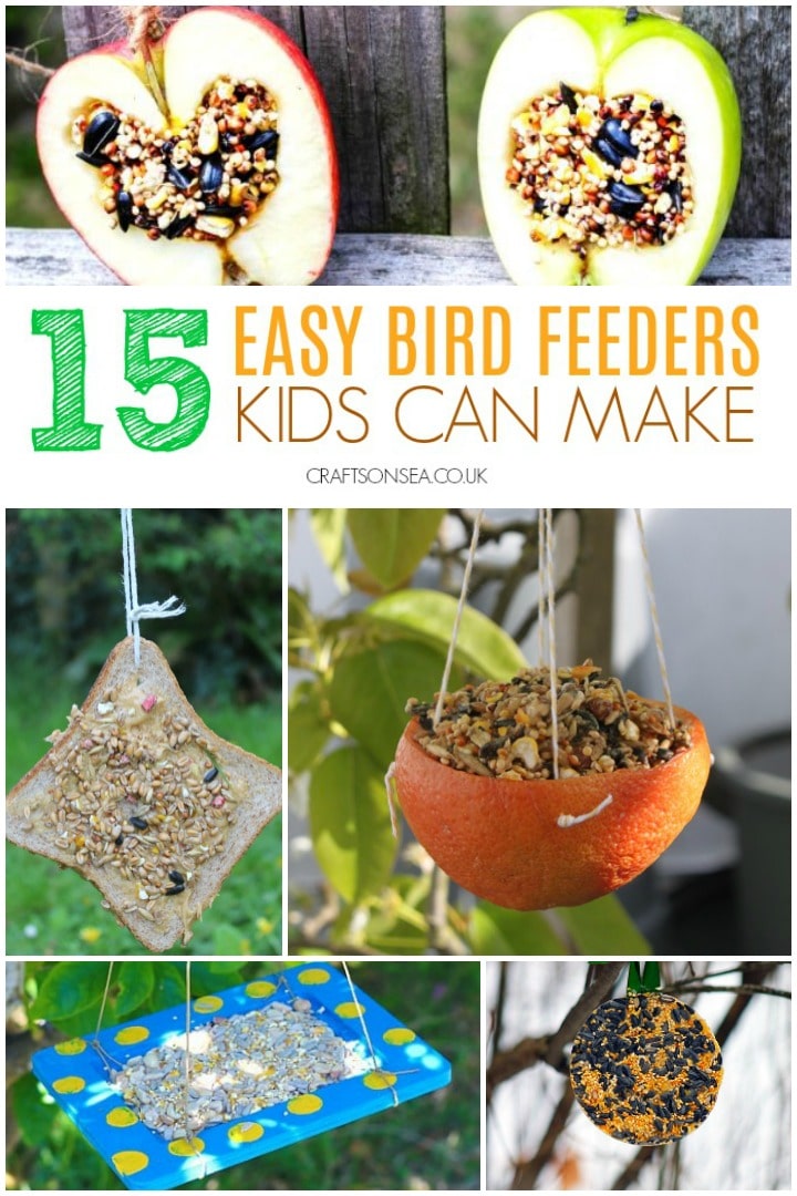 easy bird feeders kids can make