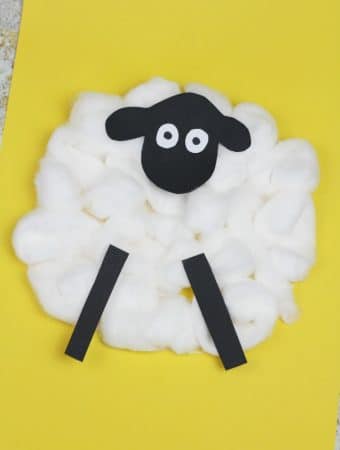 easy cotton ball sheep craft for preschoolers toddlers