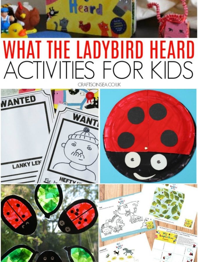 what the ladybird heard activities for kids