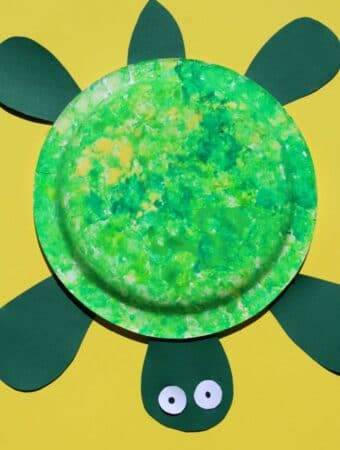 easy turtle craft for kids to make
