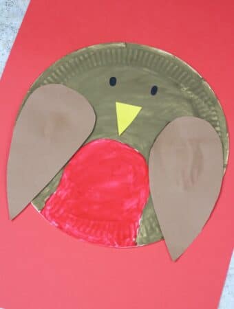 paper plate robin