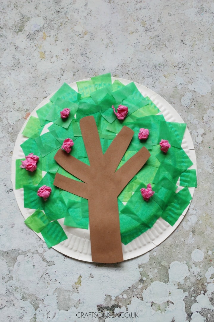 paper plate spring tree craft with tissue paper cherry blossom