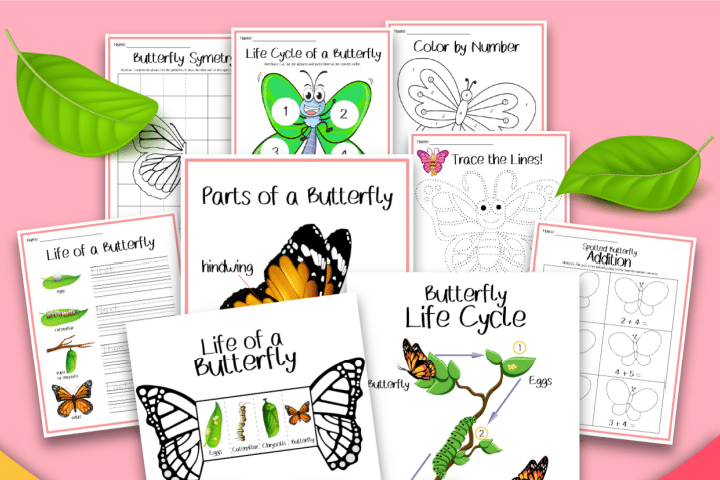 free butterfly activities
