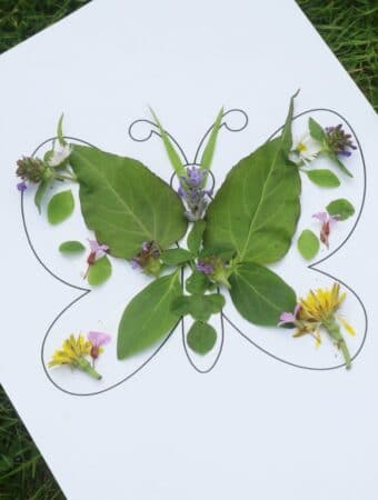 butterfly nature craft for kids