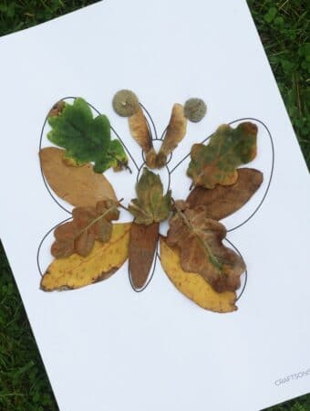 Butterfly fall leaf craft for kids