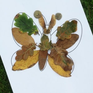 butterfly leaf craft