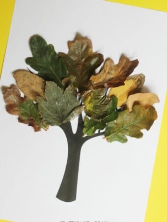 crafts with real leaves