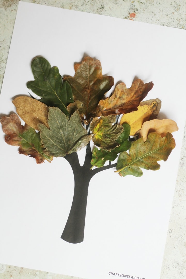 Fall Tree Craft With Real Leaves Crafts On Sea Fall Tree Craft With Real Leaves Crafts On Sea