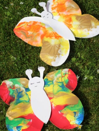 paper plate butterfly craft