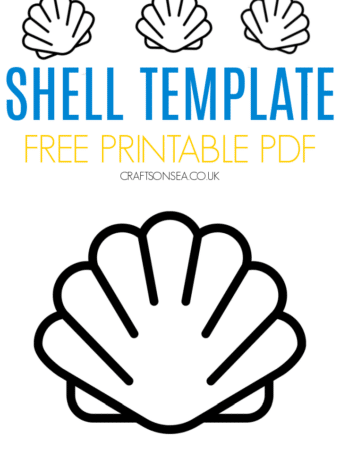SHELL TEMPLATE