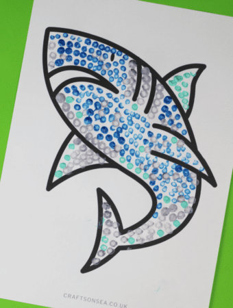 shark craft