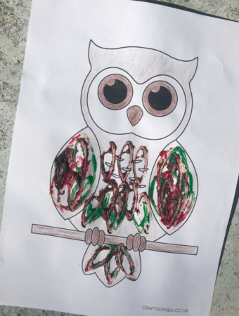 toilet roll owl craft