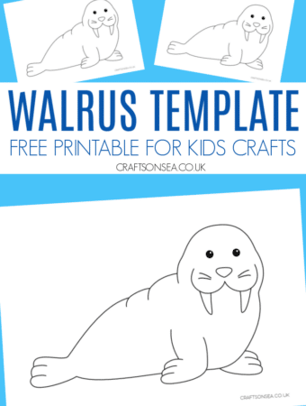walrus template
