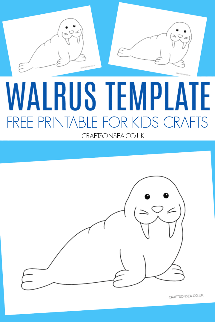walrus template