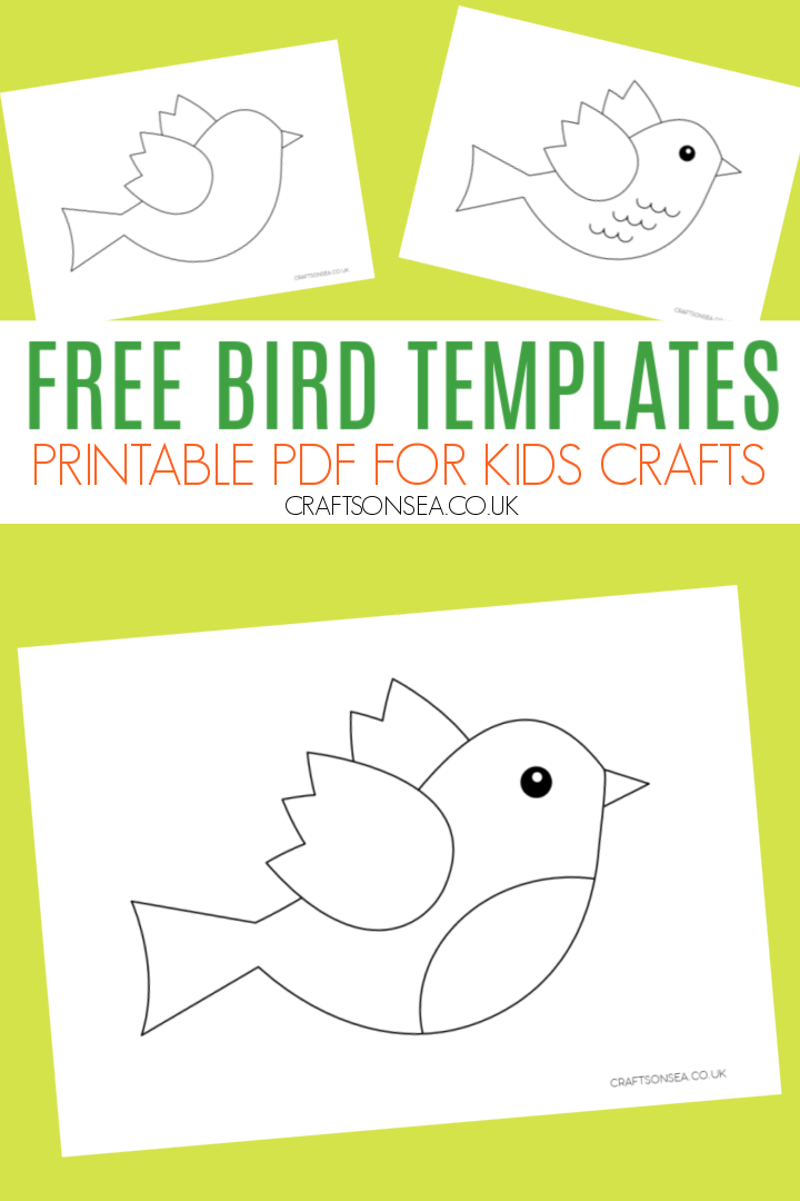 bird template free template