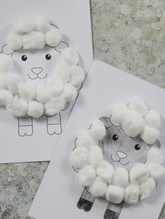 cotton ball sheep craft