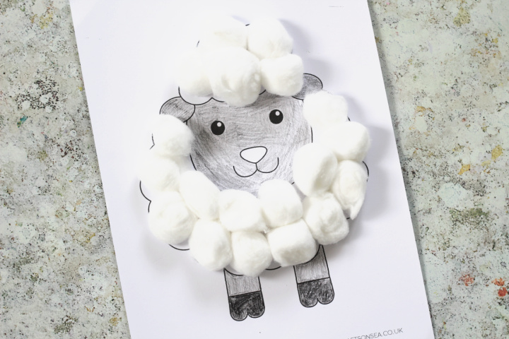 sheep craft