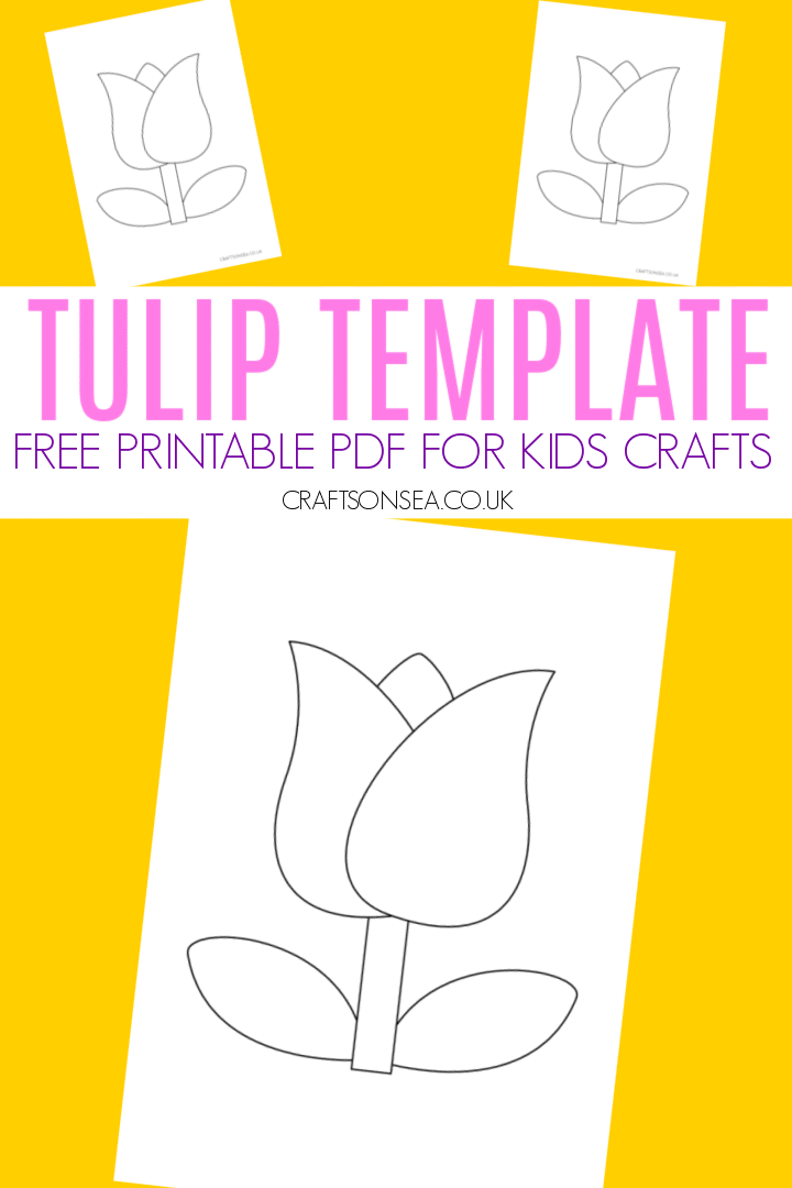 tulip template