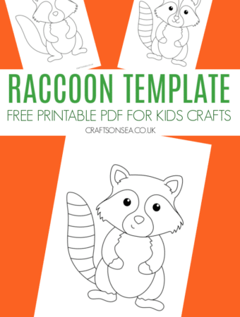 raccoon template printable