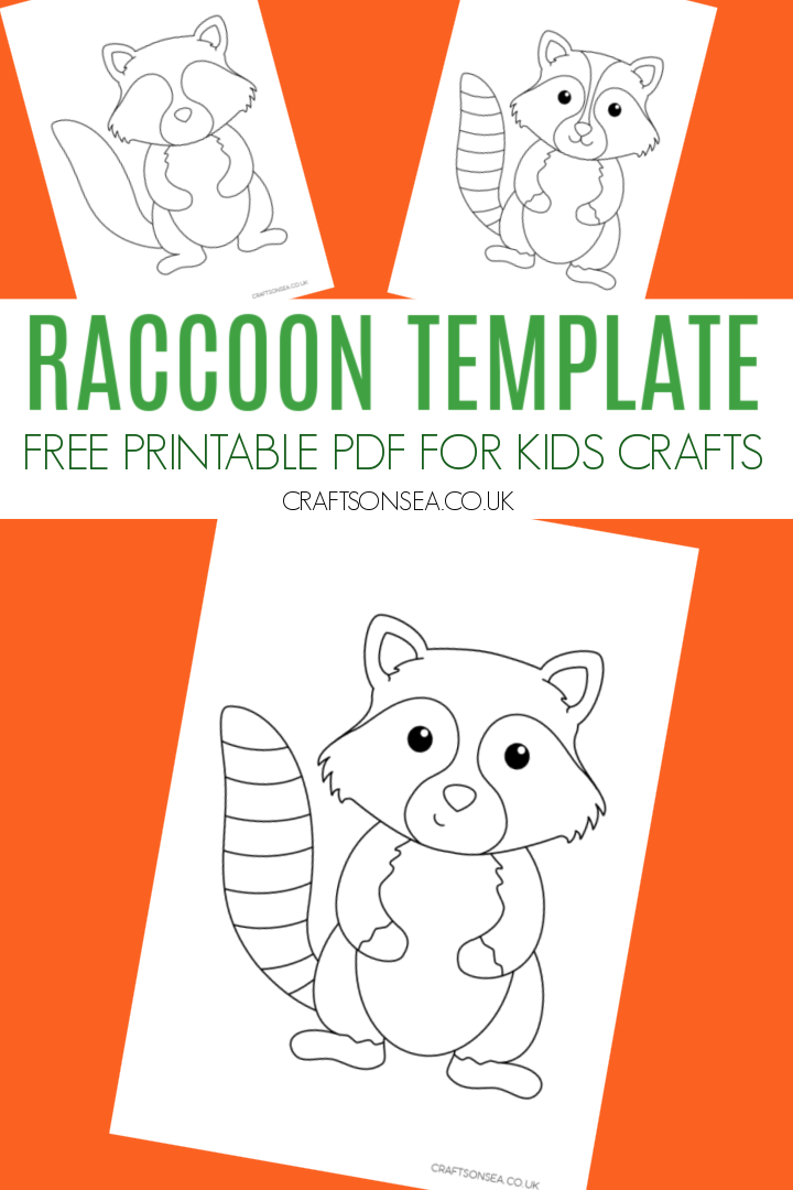 raccoon template printable