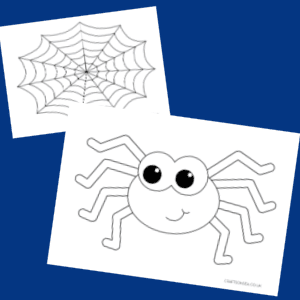 spider template
