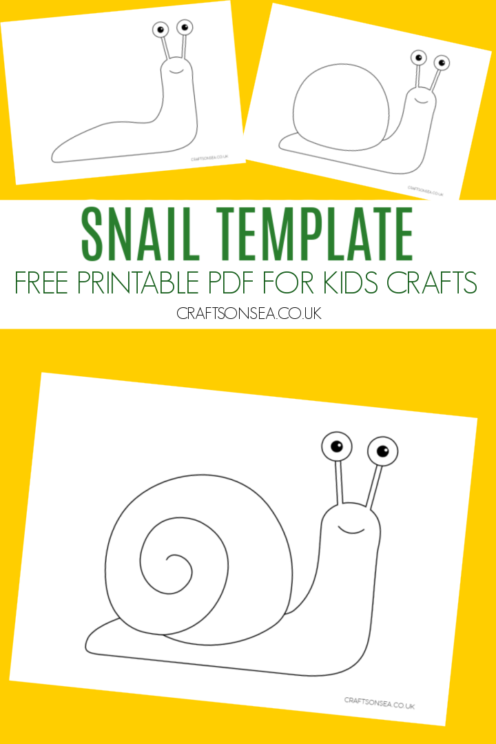 snail template free printable