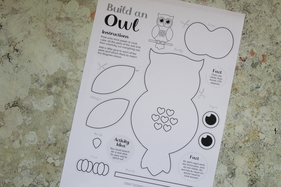 build an owl printable