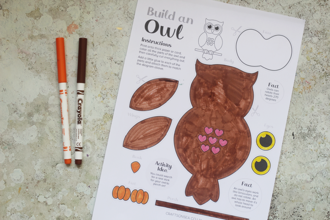build an owl printable color in