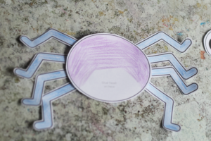spider craft body