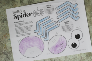 spider craft color in
