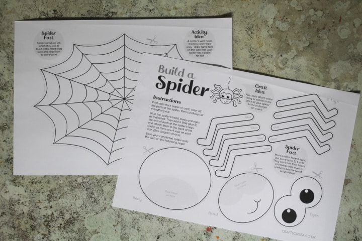 spider craft printable