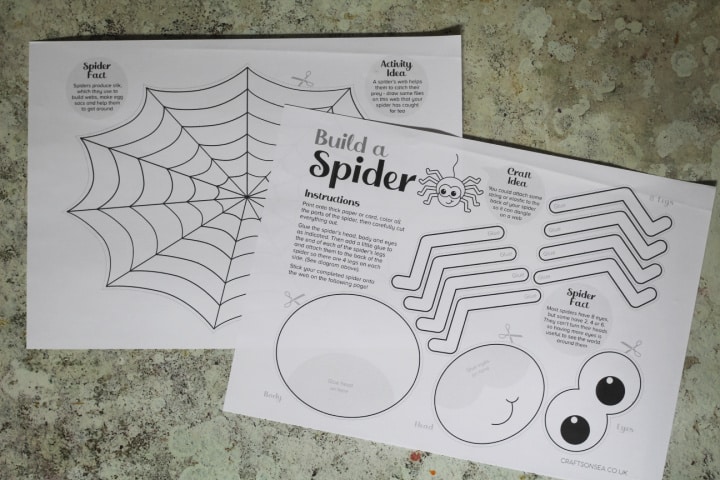 Cut And Paste Spider Craft Template FREE Printable PDF Crafts On Sea Cut And Paste Spider Craft Template FREE Printable PDF Crafts On Sea