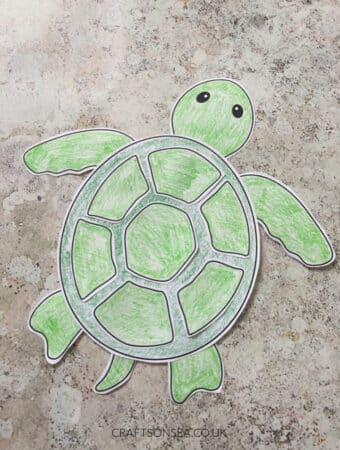 Build A Turtle Craft