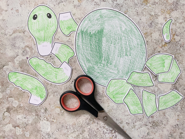 cut out turtle craft