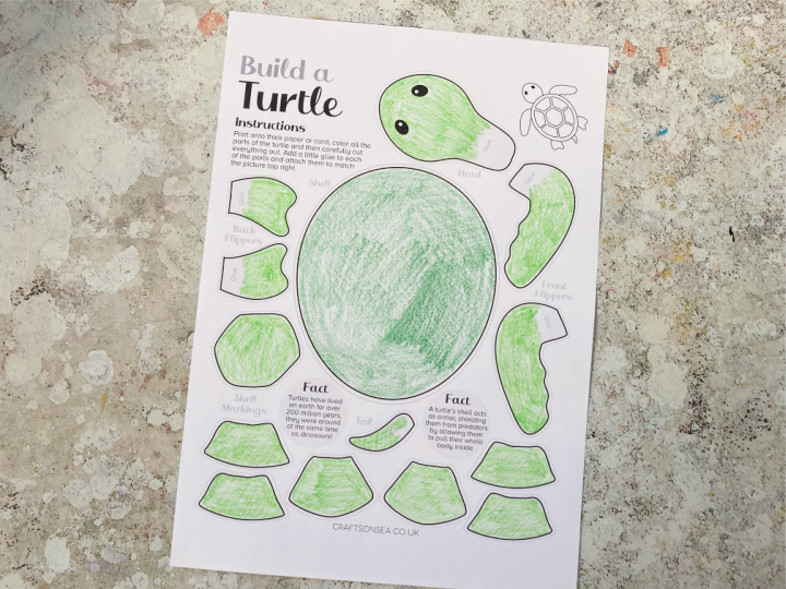 turtle craft printable