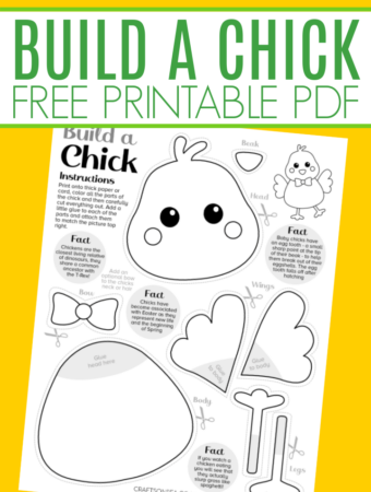 build a chick craft for kids