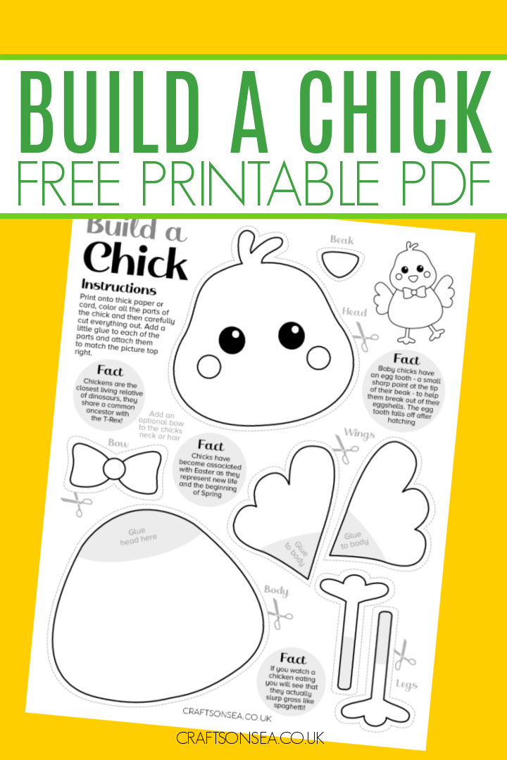 build a chick craft for kids