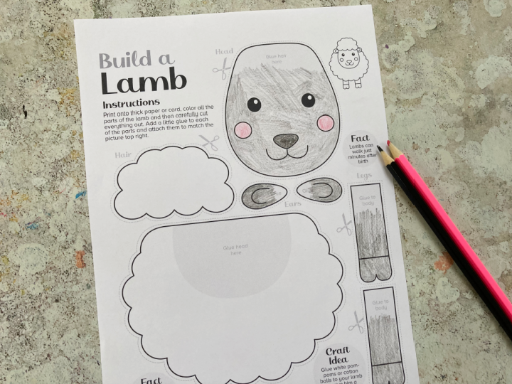 lamb craft to color