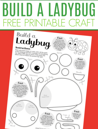 Build a ladybug craft free printable