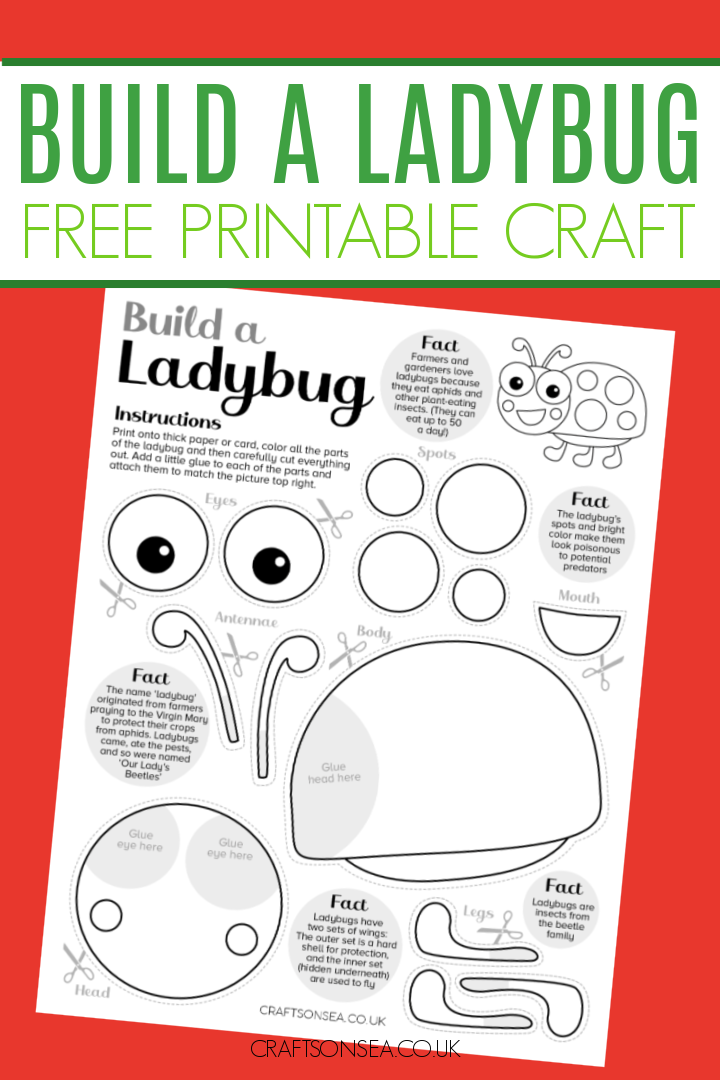 Build a ladybug craft free printable