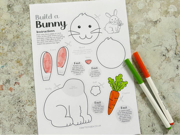 build a bunny printable craft colored in with marker pens