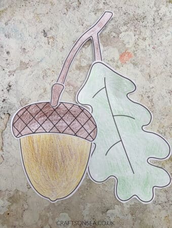 acorn craft printable free