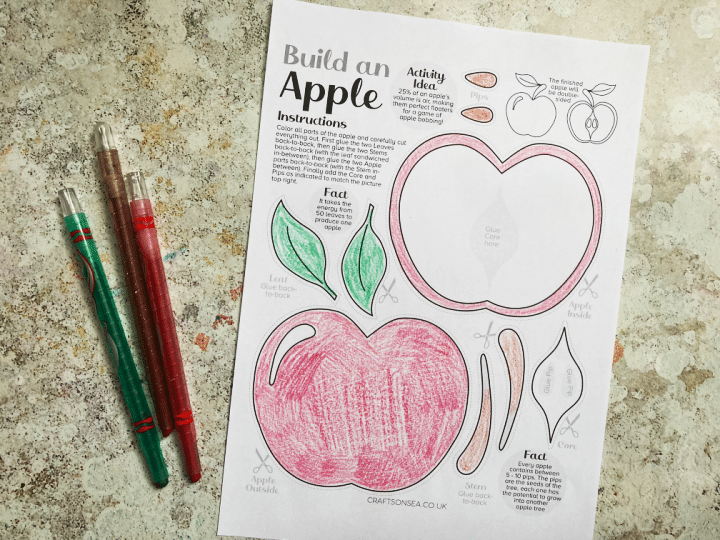 free-build-an-apple-craft-printable-crafts-on-sea for Parts Of An Apple Free Printable FREE Build An Apple Craft Printable - Crafts on Sea for Parts Of An Apple Free Printable