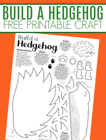 hedgehog craft printable free